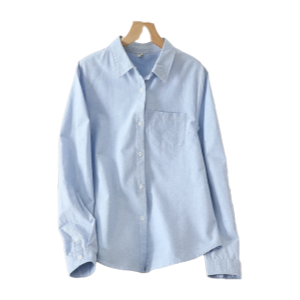 Slim casual blouse