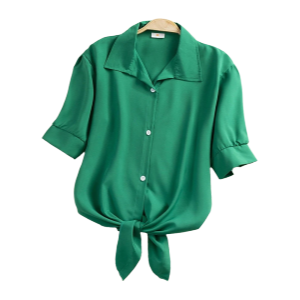 Casual Short Sleeve Blouse